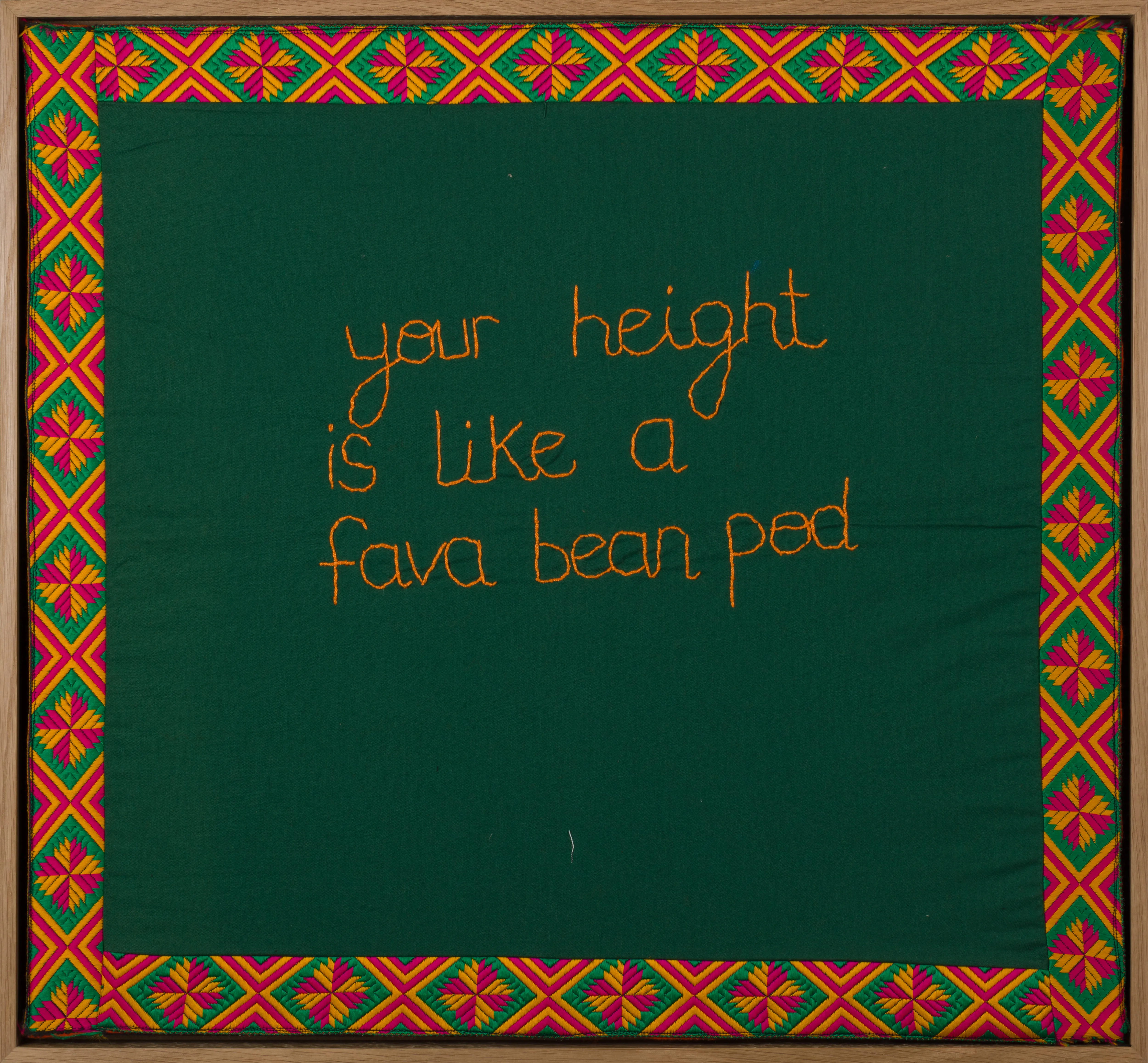 Your height is like a fava bean pod